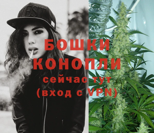 гидра Зеленокумск