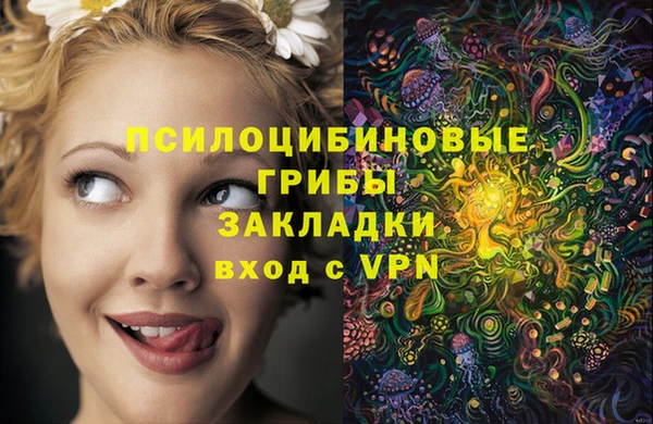 apvp Зеленодольск