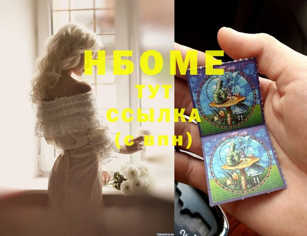 гидра Зеленокумск