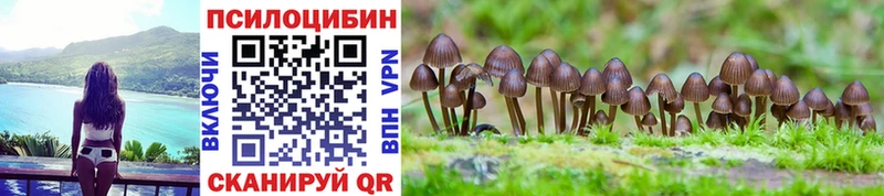 мега сайт  Невель  Галлюциногенные грибы Psilocybine cubensis  где можно купить  